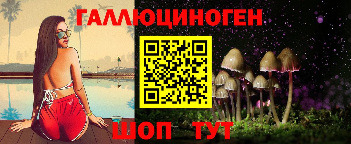 Галлюциногенные грибы Cubensis Бугуруслан